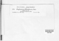 Fusicoccum phomiformis image